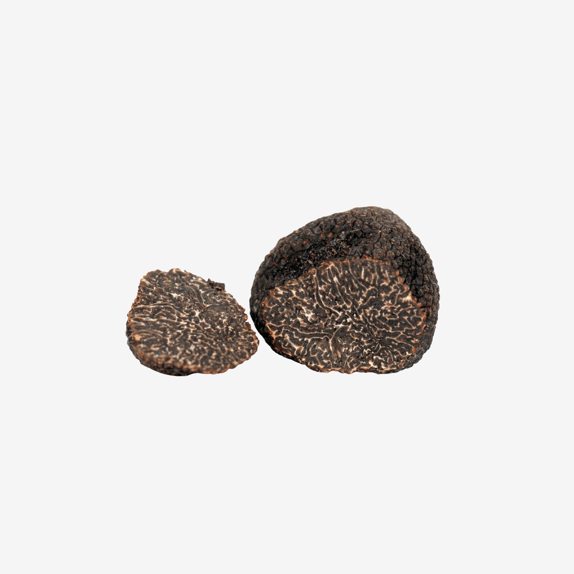 Tartufo Nero di Norcia
